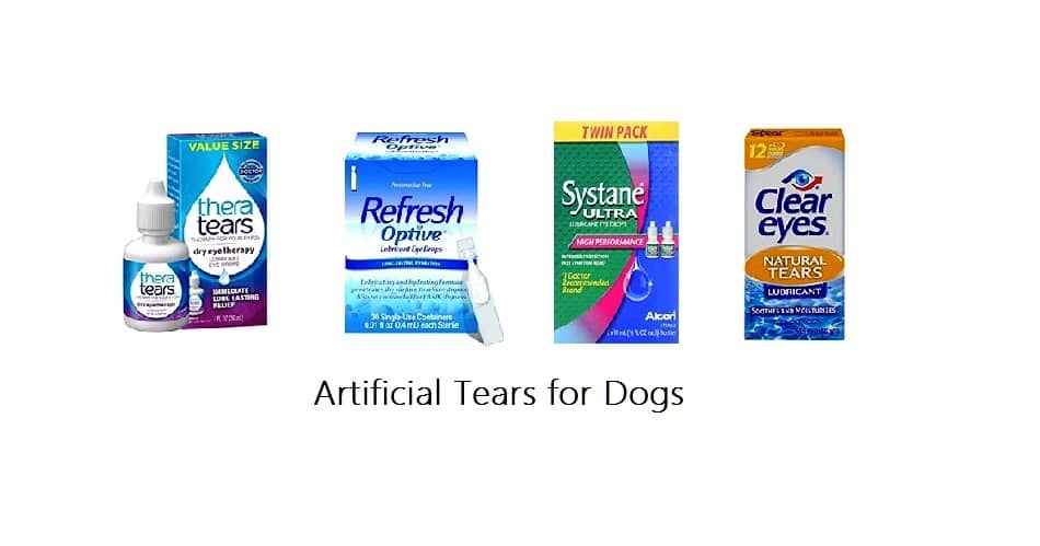 Artificial Tears for Dogs